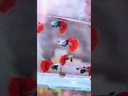 youtube - [Video]