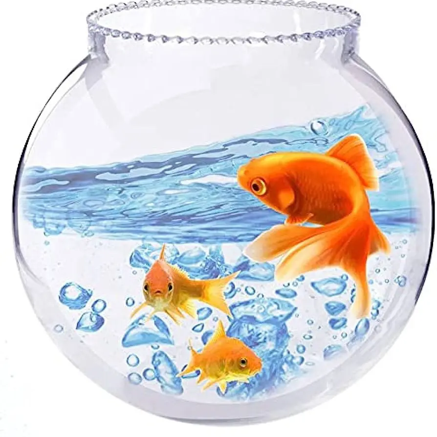 Fish Bowl
