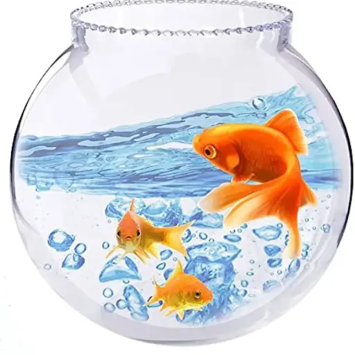 Fish Bowl