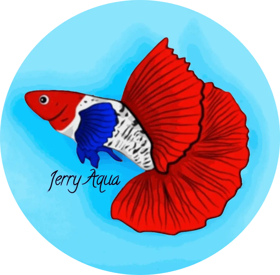 Jerry Aqua