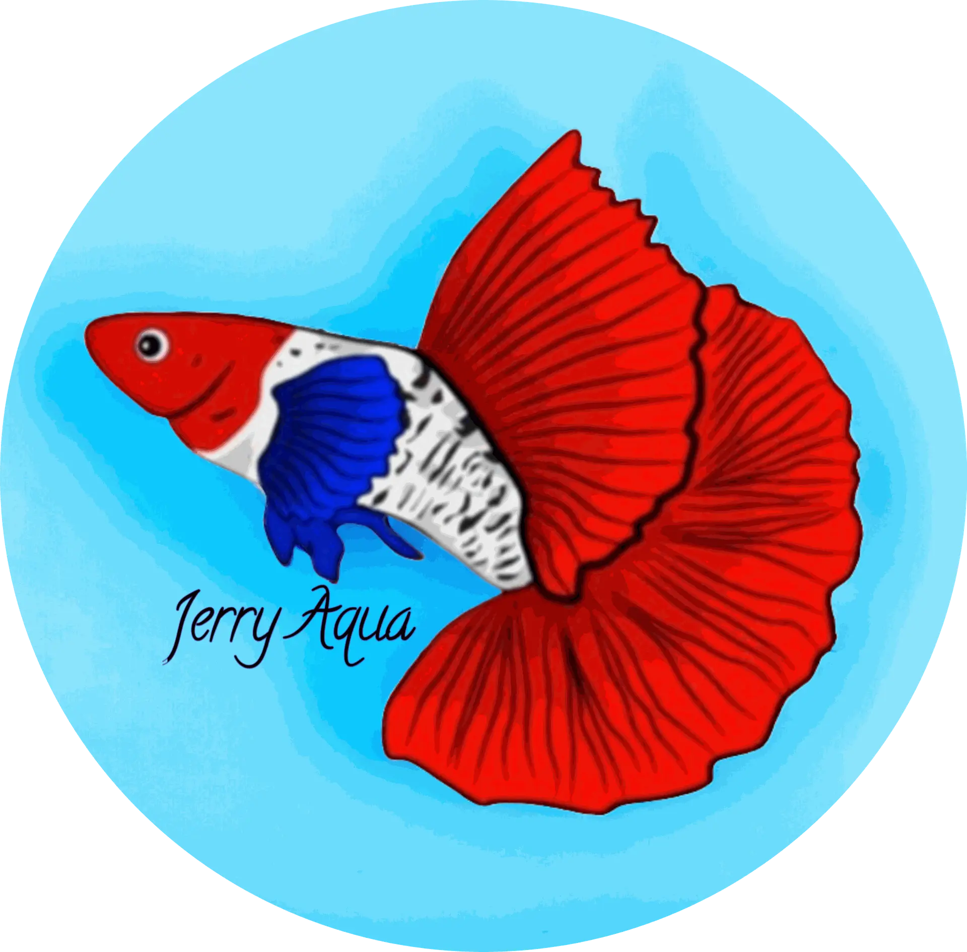 jerry aqua